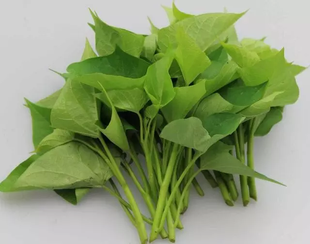 癌細胞最怕的「9種菜 」,告訴你愛的人一定要多吃,一輩子不得癌!