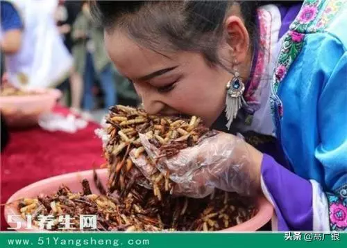 人類無肉不歡的秘密!