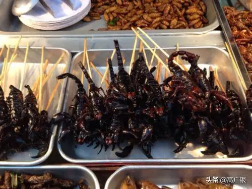 人類無肉不歡的秘密!