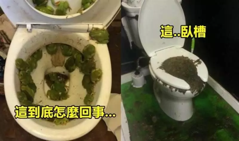 18張會讓你「絕對不敢用的超惡馬桶」#13 用紙箱做的馬桶蓋。