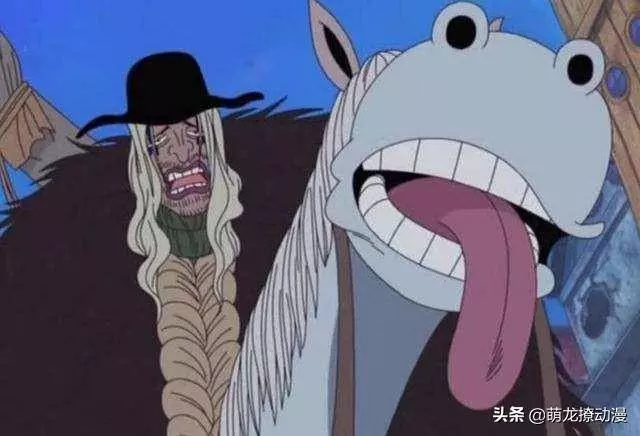 海賊王中最厲害的四位船醫,一個給羅傑續命,一個給白鬍子續命