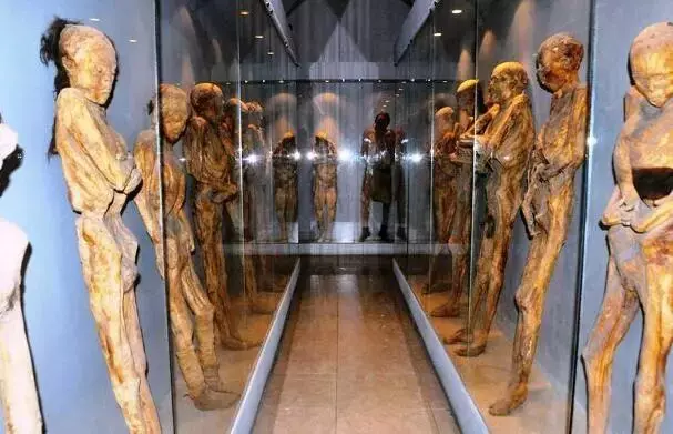 全球15個最另類的博物館,失戀館最火!