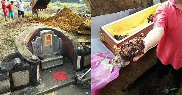 家族成員相繼出事,乩童警告「祖先成蔭屍」,挖墳驚見屍骨「有殘肉還長尖牙」:開始吃子孫!