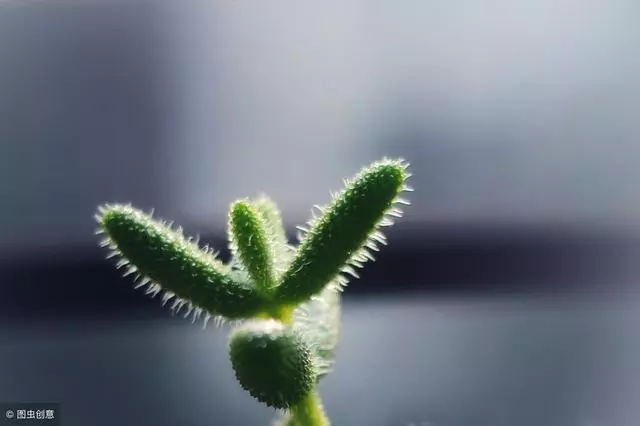 心慌胸悶氣短,不妨按這個穴位,不僅寬心而且護心