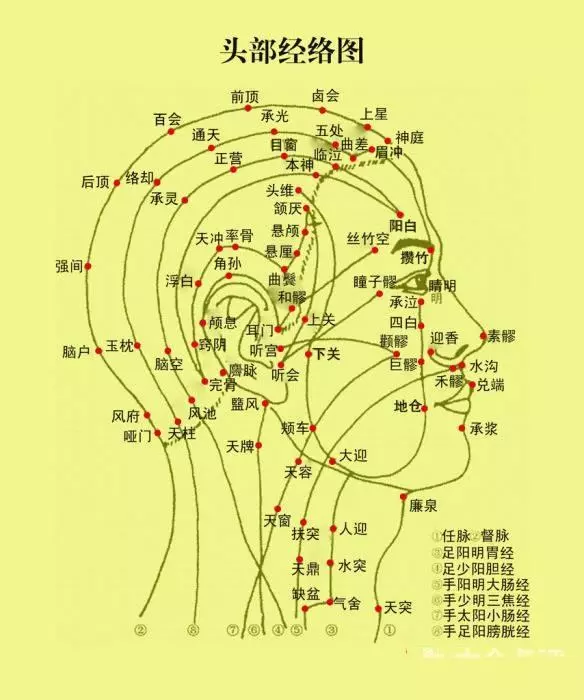 為什麼說耳、目為「宗脈之所聚」?