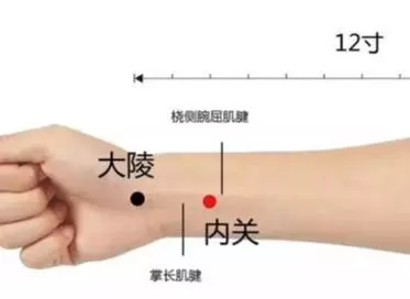 年底聚會多,腹瀉、胃痛、消化不良找上門怎麼辦?