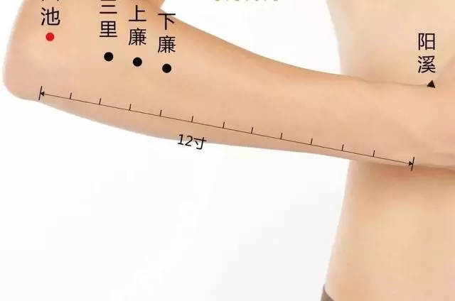 年底聚會多,腹瀉、胃痛、消化不良找上門怎麼辦?