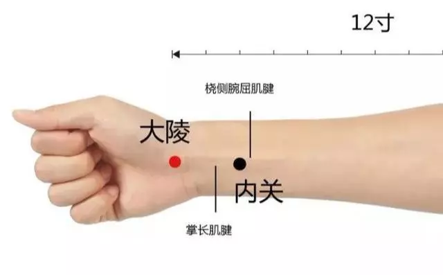 年底聚會多,腹瀉、胃痛、消化不良找上門怎麼辦?