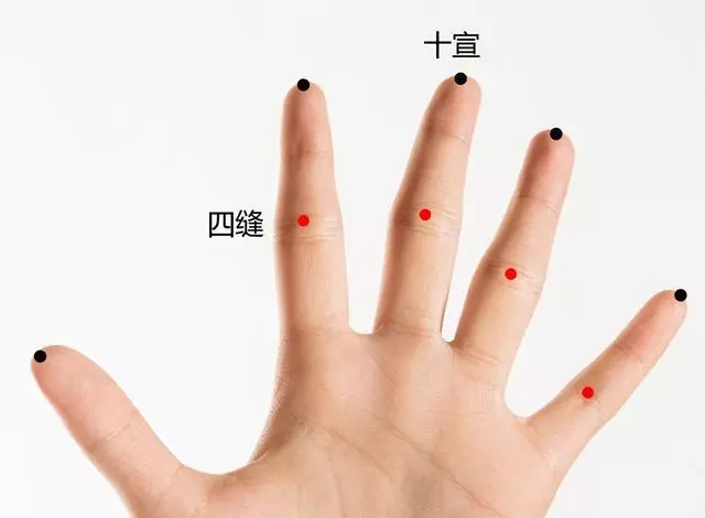年底聚會多,腹瀉、胃痛、消化不良找上門怎麼辦?