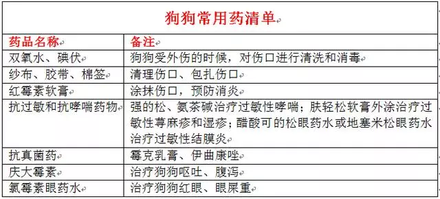 狗狗唾液具有殺菌的效果?搞不好會感染傷口