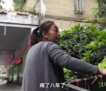 狗狗癱瘓8年沒法走路,主人依然沒放棄,裝上小輪椅之後,生活變了
