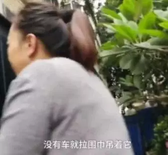 狗狗癱瘓8年沒法走路,主人依然沒放棄,裝上小輪椅之後,生活變了
