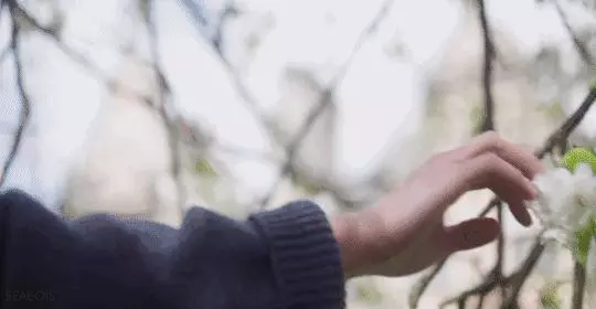 離過婚的女人不是沒人要,而是餘生不想再將就!