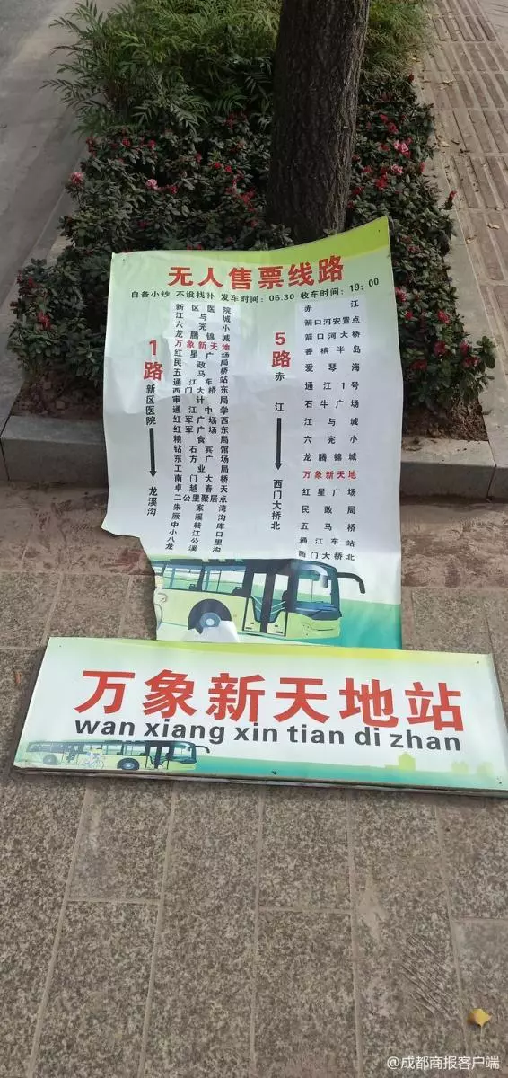 被騙慘！乘客呆等2小時公車、7台都沒停　司機：假車站是用來「增人氣」的