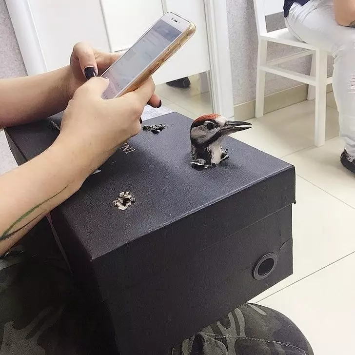 18張「上天總是怕你活得太無聊」的日常驚奇照　像瑪麗蓮夢露的鴿子！