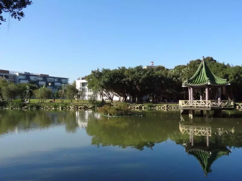 同學你有看到我藥袋嗎...台灣「5大靈異名校」文大八卦陣被屌打 政大屍水房味道還是很重!