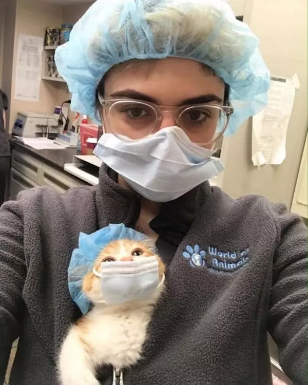 上班累了?20張會讓你疲倦秒飛走的「可愛動物照」 用生命在撿球的狗狗~