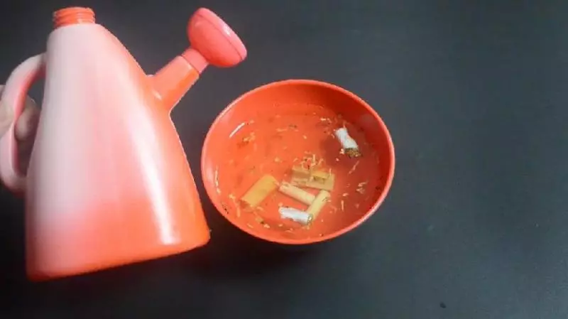 家裡有抽剩的菸頭嗎?這個用途太厲害了,看完抓緊告訴家裡人 !