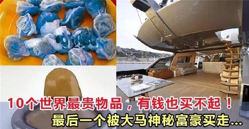 10個世界最貴物品,有錢也買不起 !最後一個被大馬神秘富豪買走 !!