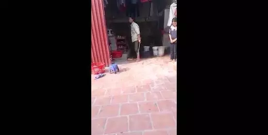 男孩為女友慶祝生日卻遭母親毒打,線民紛紛站隊母親:打得好~