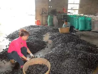 它是臺灣人很喜歡吃的食物,28歲小夥一天吃三包,妻子對他放棄治療,它的毒性世界公認,你卻還在吃