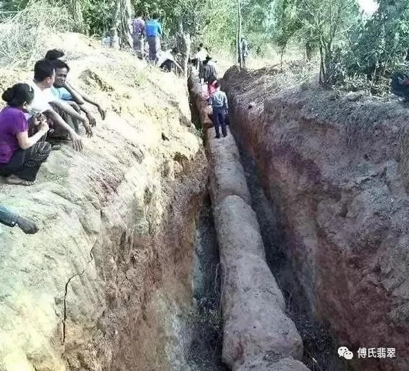 緬甸最近挖出一根長型物體,估計價值連城