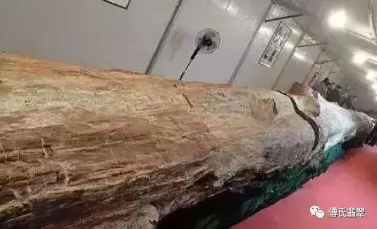 緬甸最近挖出一根長型物體,估計價值連城