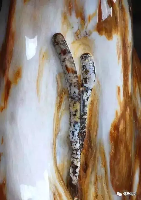 緬甸最近挖出一根長型物體,估計價值連城