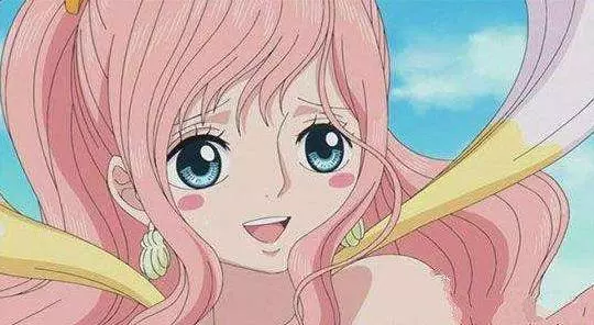 海賊王不幸被虐待的七位美女,一位愛著路飛,兩位加入草帽海賊團