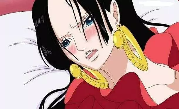 海賊王不幸被虐待的七位美女,一位愛著路飛,兩位加入草帽海賊團
