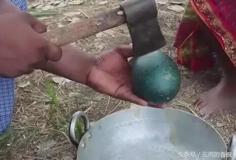 老奶奶撿到一個「綠殼殼」的蛋,用斧頭才能敲開,敲開後高興壞了
