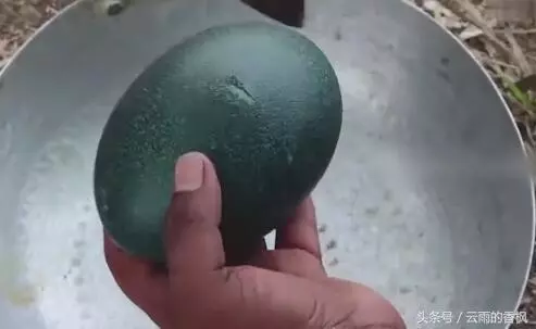 老奶奶撿到一個「綠殼殼」的蛋,用斧頭才能敲開,敲開後高興壞了