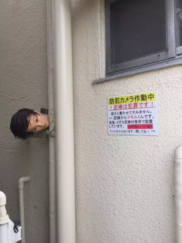 日本最新防盜法!假人頭藏暗巷看得你心裡發寒...網推爆:半夜經過會嚇尿!