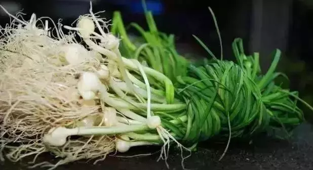 一種菜能打通血管,功效堪比【三七】,不花錢也能找到,地裡到處都是