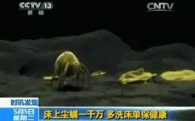 一周皮屑量居然可以養活300萬蟎蟲!告訴你1個不花錢的簡單除蟎法!
