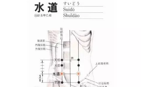 中醫學:對付便秘的四大穴,關鍵時刻用得到!