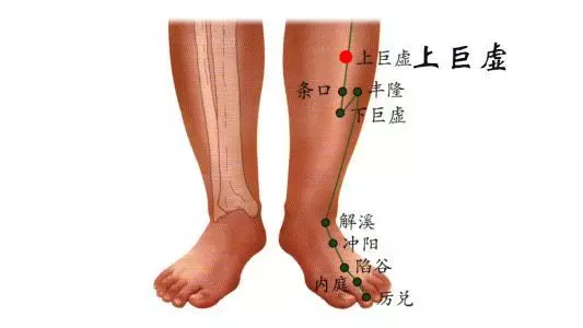 中醫學:對付便秘的四大穴,關鍵時刻用得到!