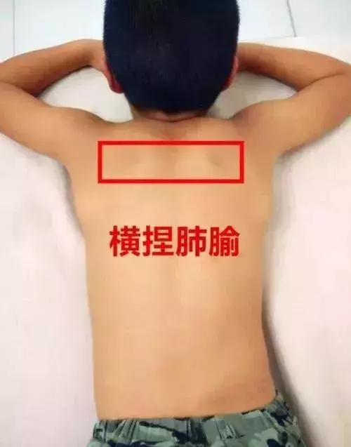 孩子冬天總生病,中醫專家幫您來支招!