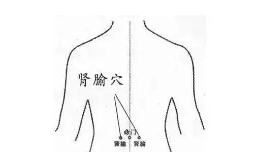 孩子冬天總生病,中醫專家幫您來支招!