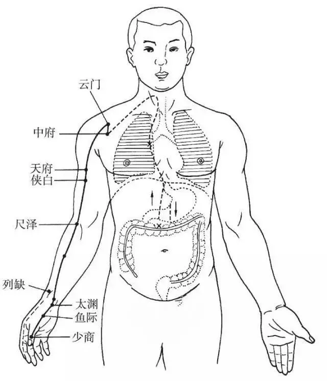 嗌、咽、喉、肺系、頏顙的具體部位和經絡聯繫如何?