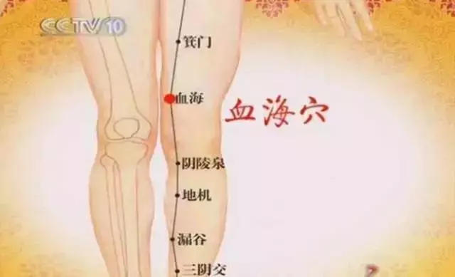 女人要多灸哪些腿部穴位?收了吧!