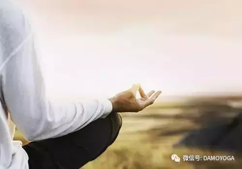 瑜伽之胃部保健:年意漸濃,關照好咱的胃!