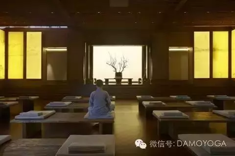 瑜伽之胃部保健:年意漸濃,關照好咱的胃!