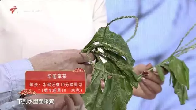 一草加一花,祛濕效果佳