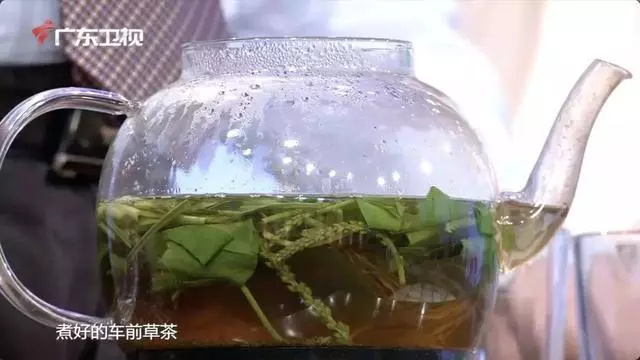 一草加一花,祛濕效果佳