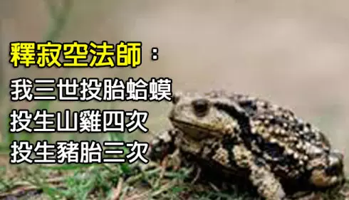 《震驚》一位大比丘僧人600年的前世記憶(釋寂空法師的真實故事)不生淨土,難免輪回~