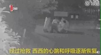 這孩子命大!6歲女孩心臟驟停,家人送醫途中幸好遇到