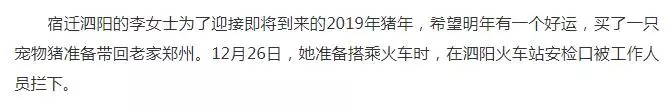 豬年把狗喂成豬,你怎麼看?