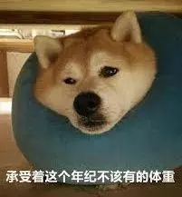 豬年把狗喂成豬,你怎麼看?