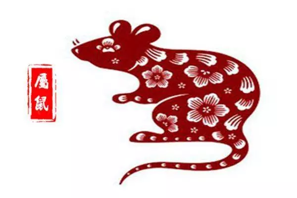 【蘇民峰】2019年豬年生肖運程完整版,今年你會走什麼鴻運?